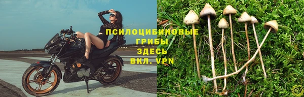 прущие крисы Вязники