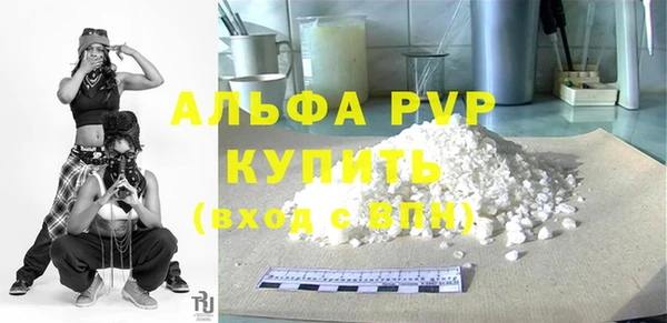 хмурый Вяземский