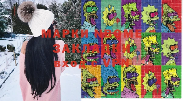 хмурый Вяземский