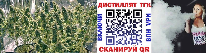 ТГК концентрат  Железногорск 