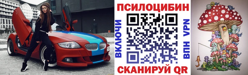Псилоцибиновые грибы Cubensis  Железногорск 