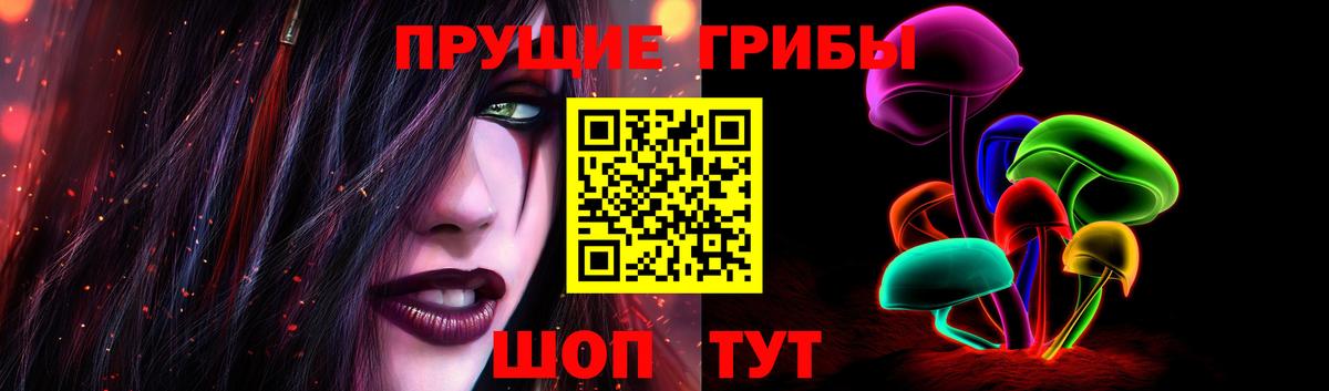 Железногорск  Галлюциногенные грибы ЛСД  Вход с VPN 